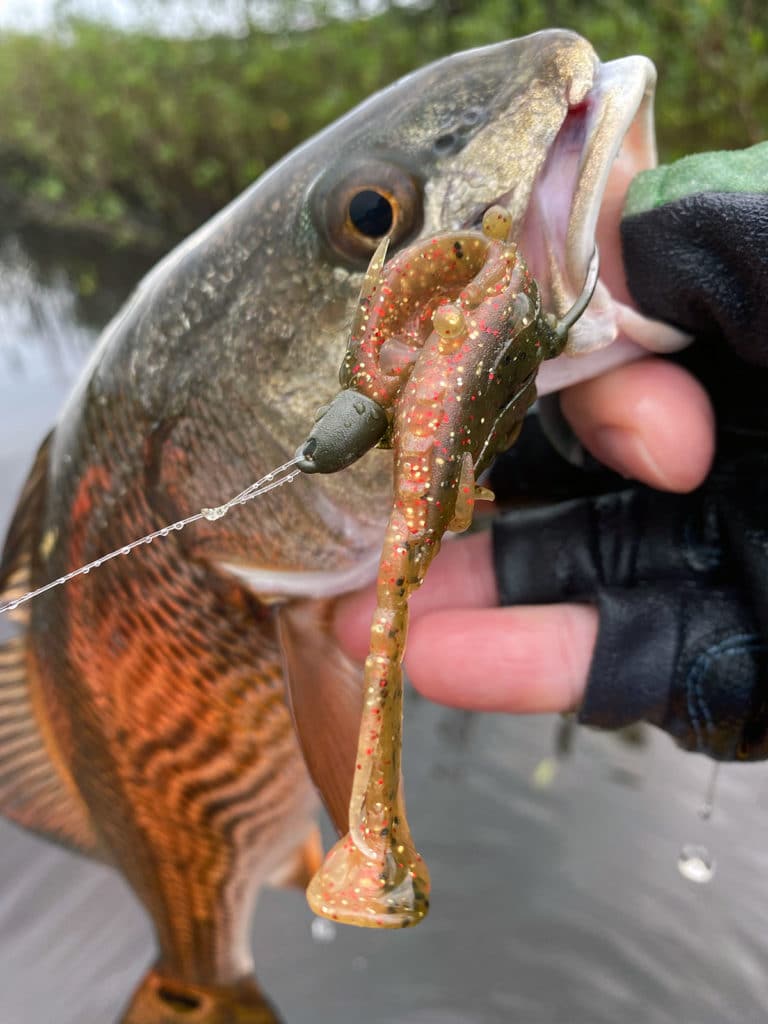 Zman Kicker Crabz redfish