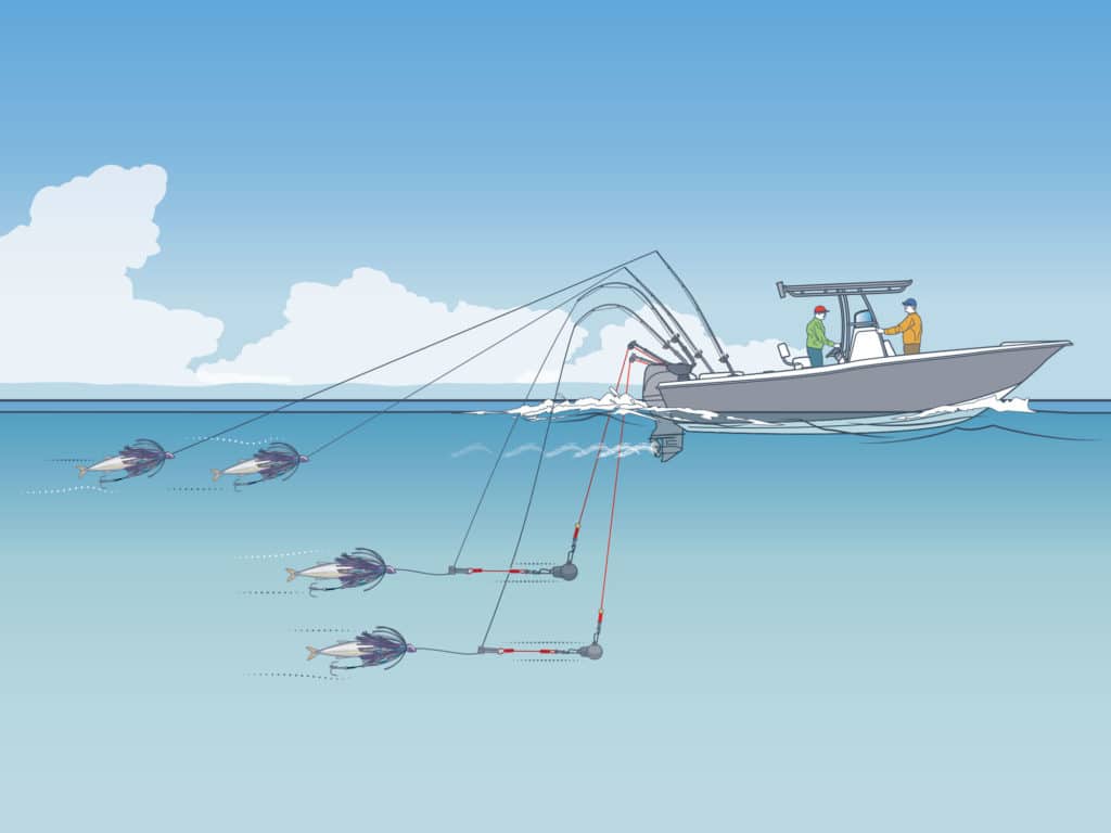 Preferred trolling pattern for kingfish