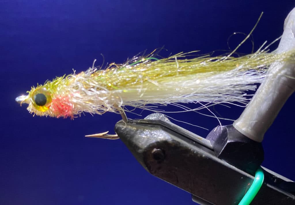 The Glades Minnow is hard to beat