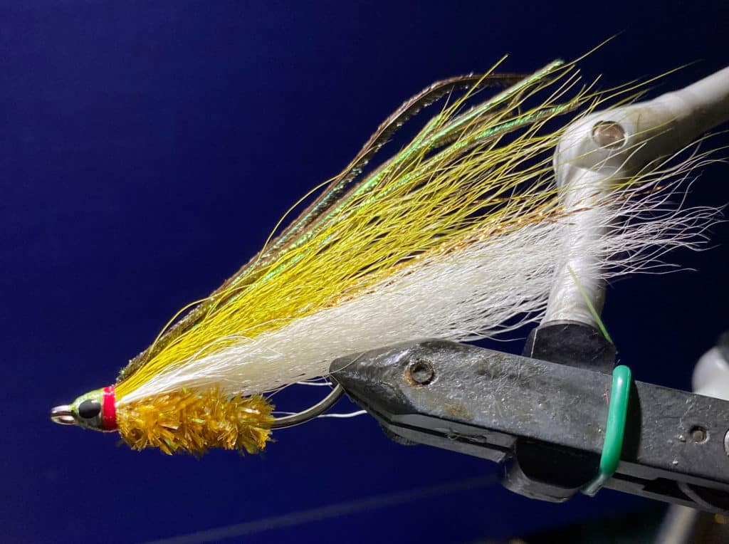 Prince of Tides for fishing grass flats