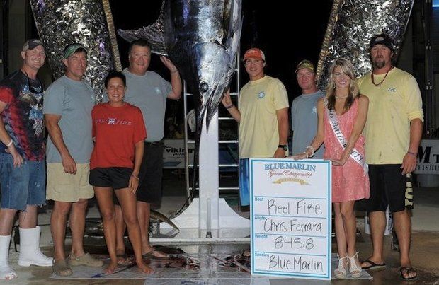 Kuhn Gulf Marlin