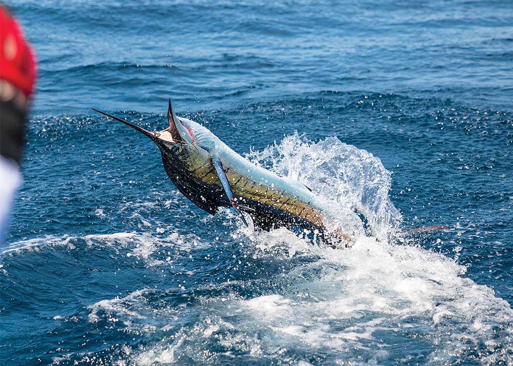 Fishing Costa Rica