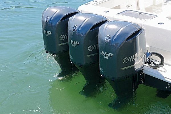 seavee2.jpg
