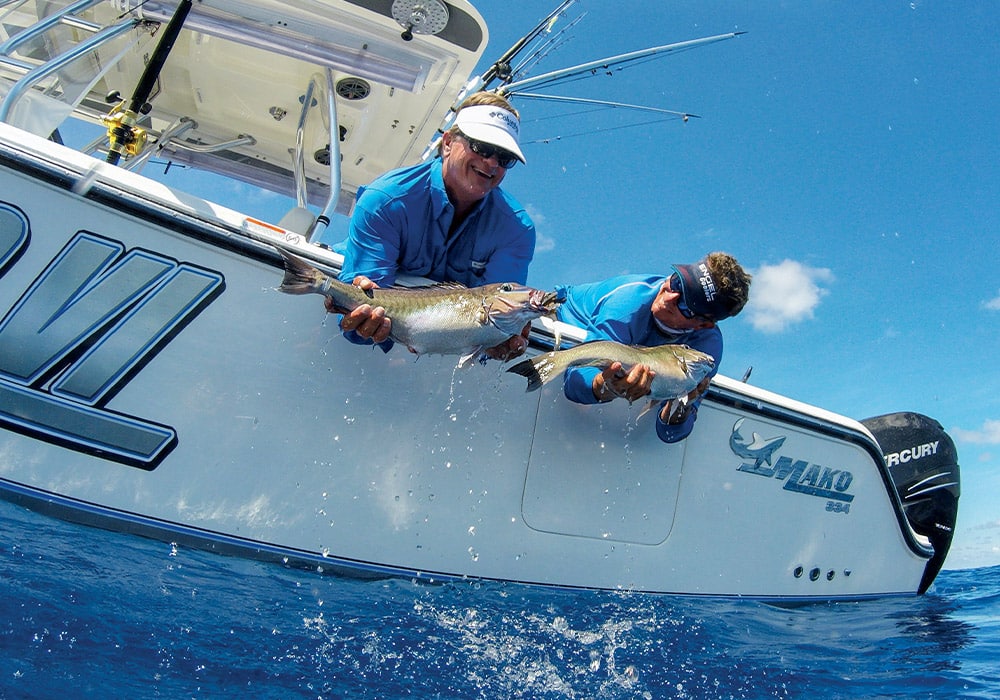 A pair of blueline tilefish