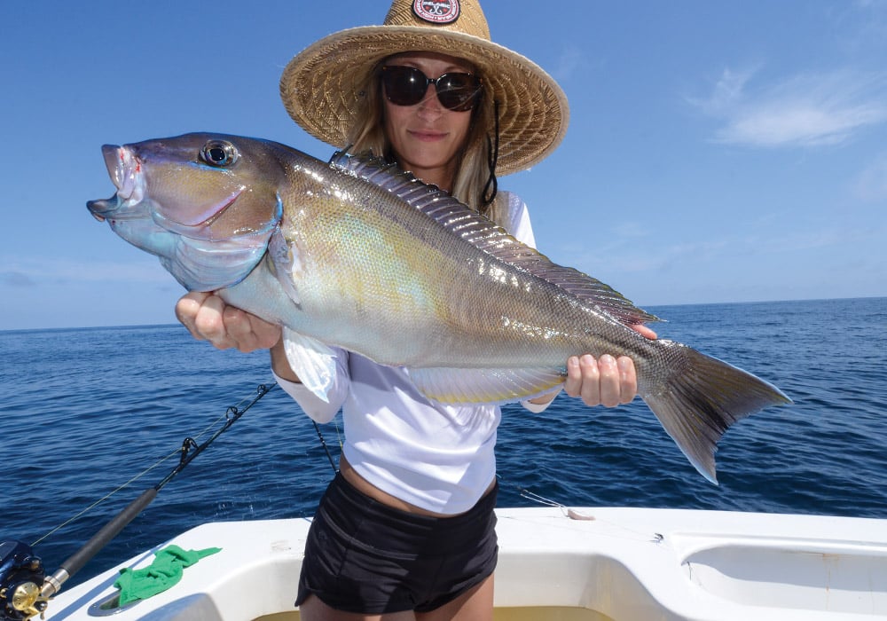 Tilefish on the boat