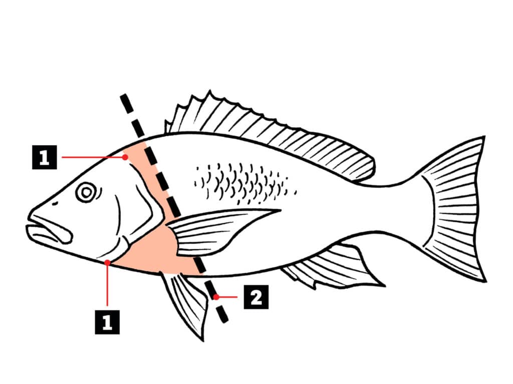 Snapper Collar Instructions