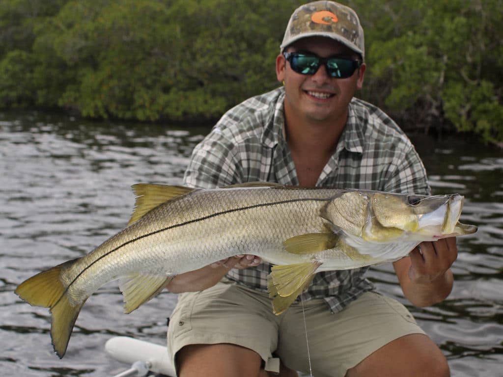 Snook are often called linesiders.