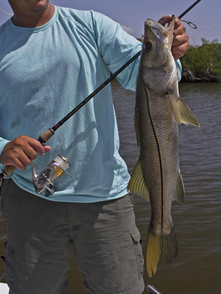scentes lures for snook