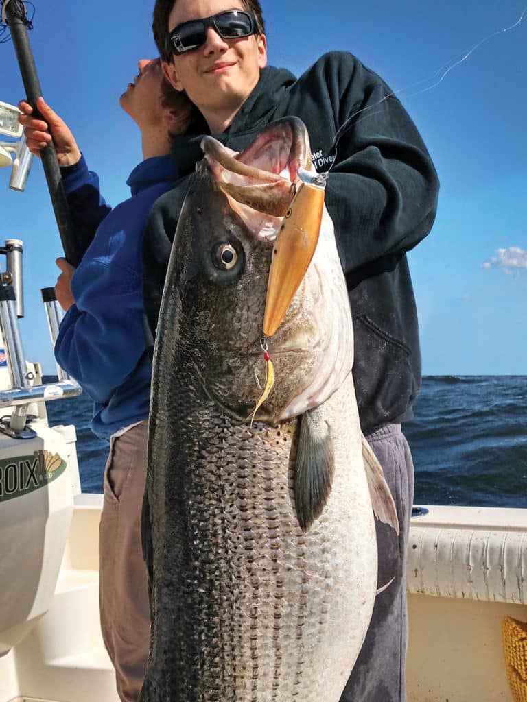 The pinnacle of trophy-bass fishing comes when you catch them on artificials such as lipped swimming plugs and surface poppers.
