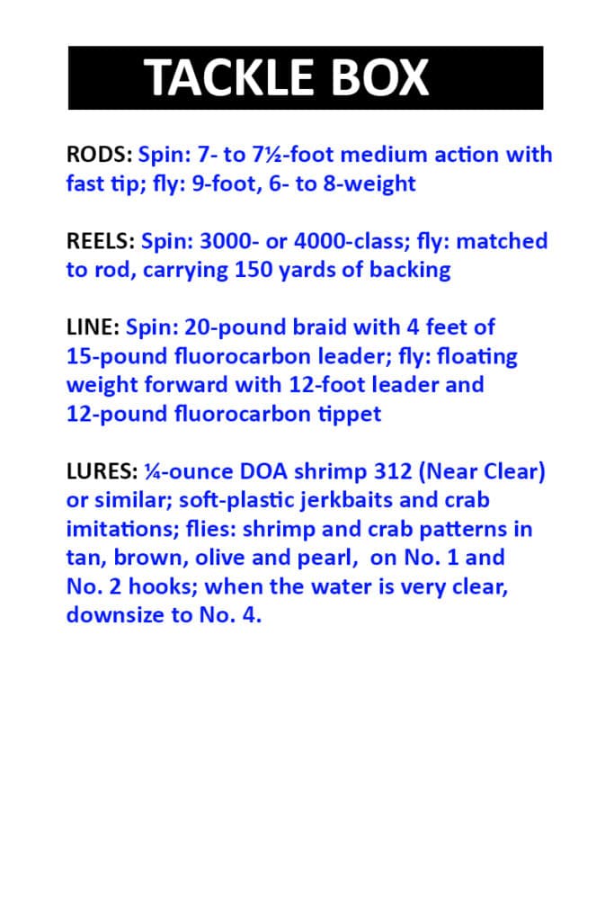 All the tackle you need to catch redfish in Mosquito Lagoon