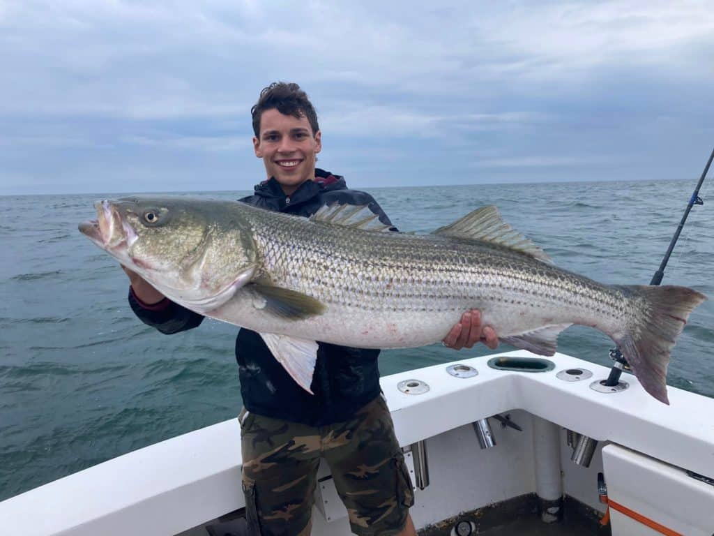 giant Montauk striper