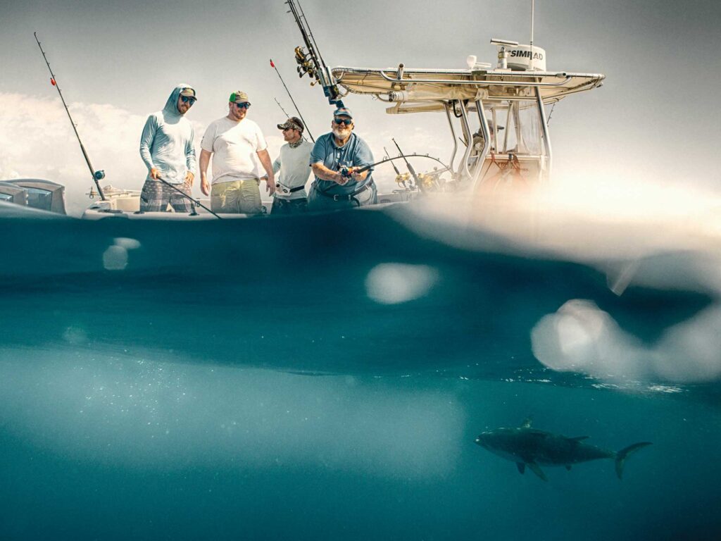 Tuna under the boat