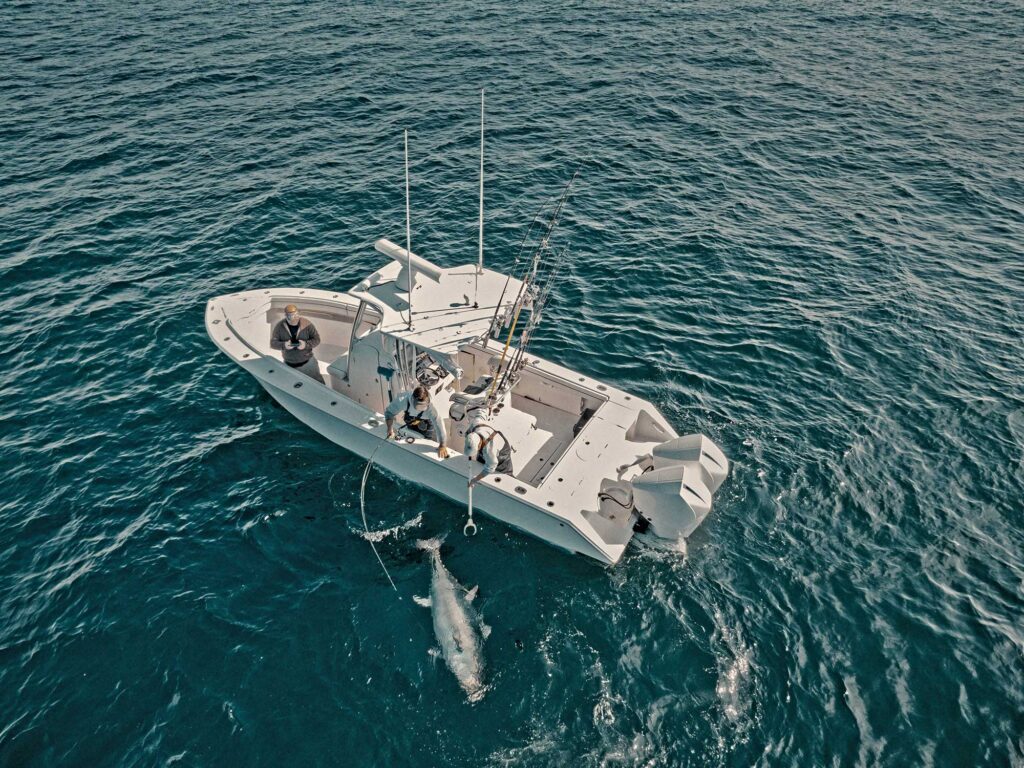 Giant tuna at the boat