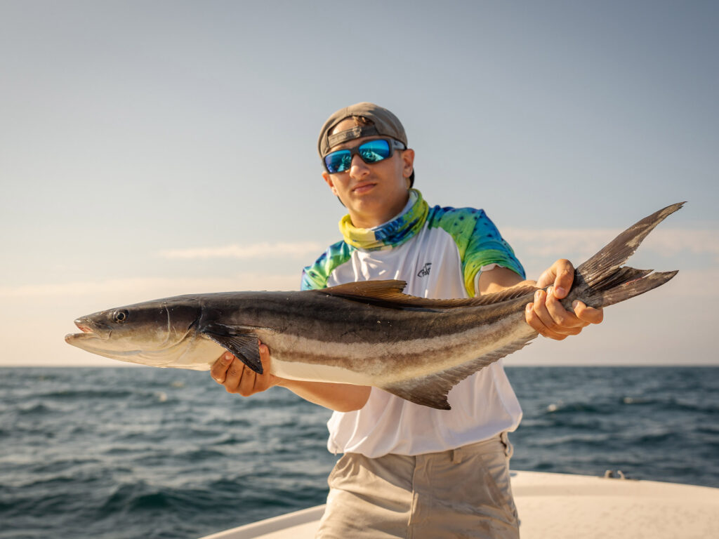 North Carolina Cobia
