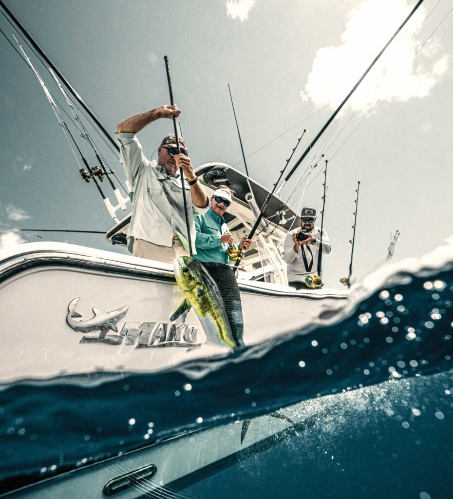 Large mahi gaffed