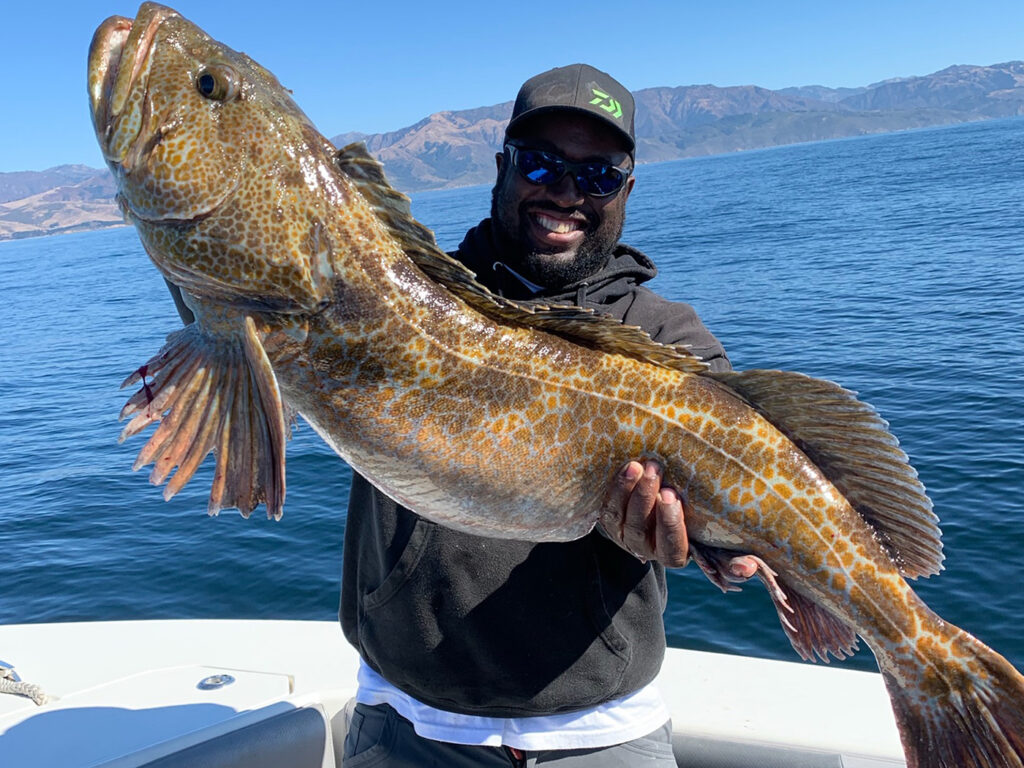 California lingcod