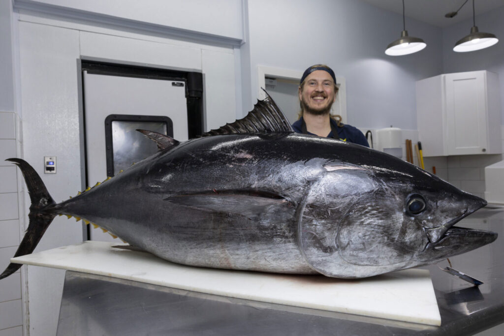Fishmonger Reed Brand getting ready to fillet bluefin tuna