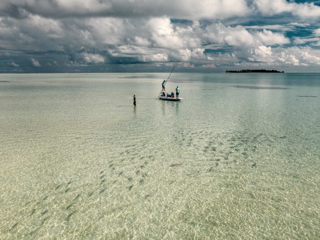 Poling for bonefish