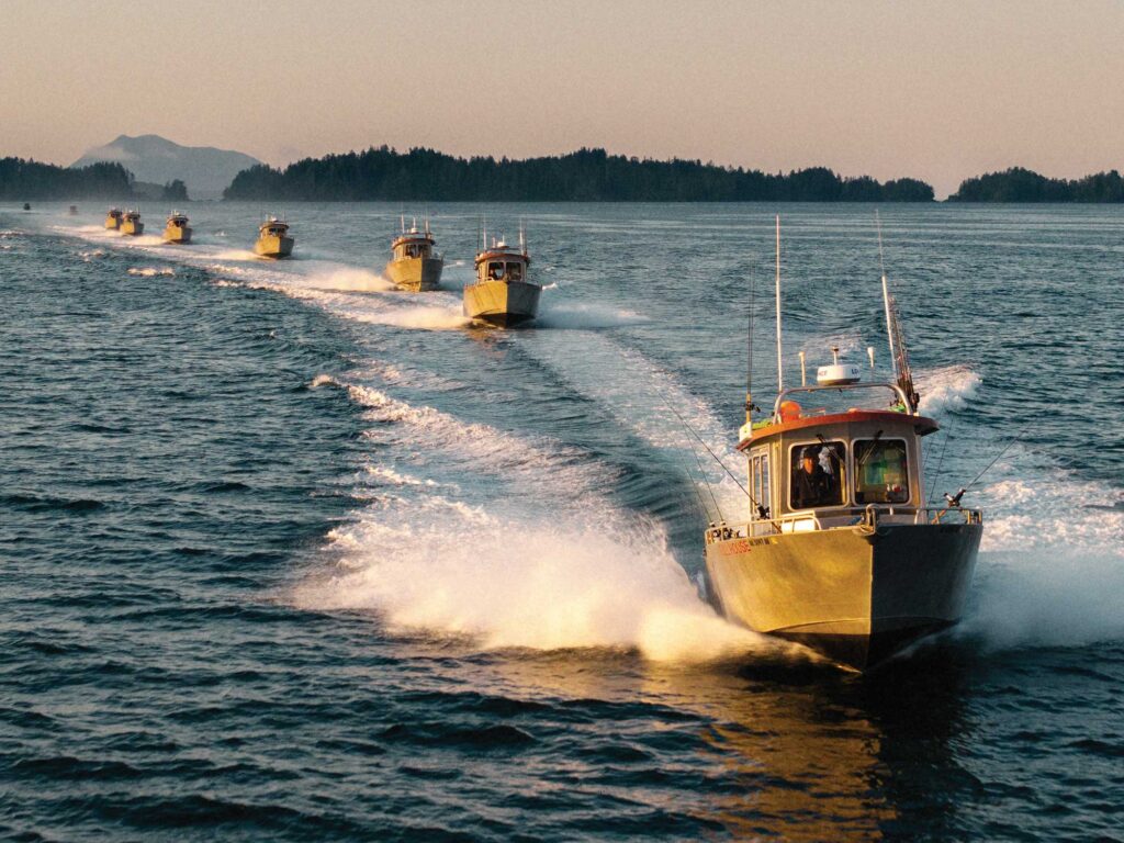 Wild Strawberry Lodge fleet of boats