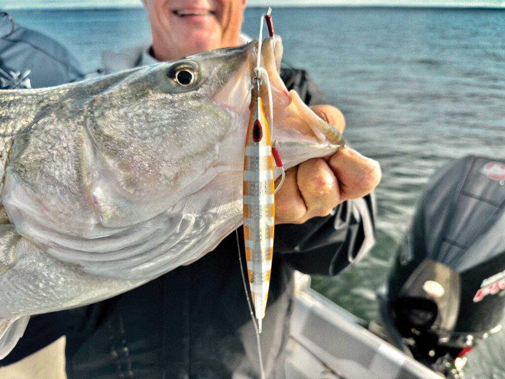 Metal jig for striper fishing